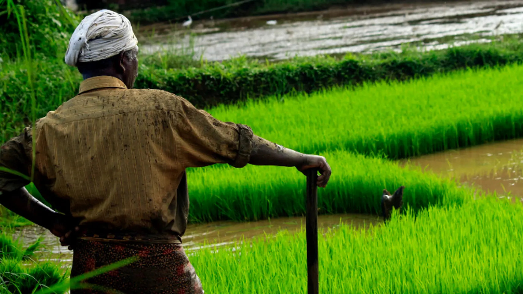 Seeds of change: How farmer-led innovation is quietly disrupting India’s FMCG supply chains